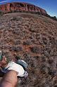 WT 0400 093-11 Australia Ayers Rock